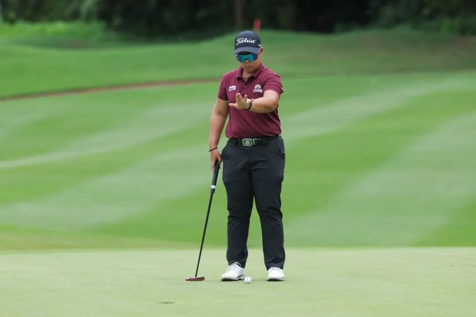 包含高尔夫球挑战赛选手球技高超，展现超凡实力的词条