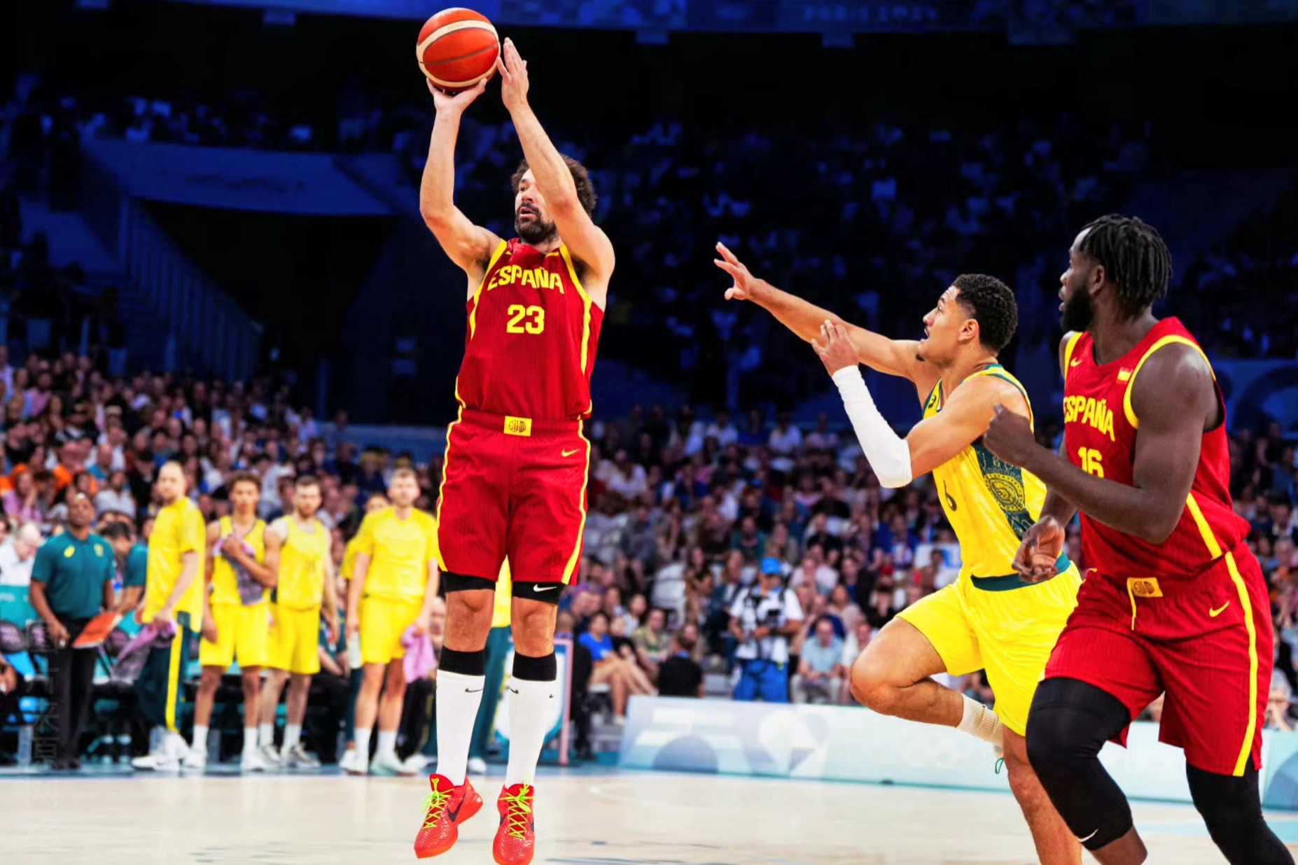 澳大利亚篮球联赛季后赛火爆开赛